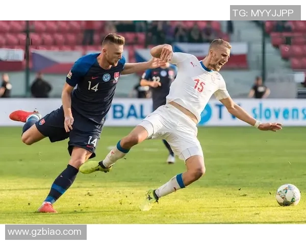 捷克对阵巴西比赛分析及大小分预测全解析